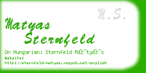 matyas sternfeld business card
